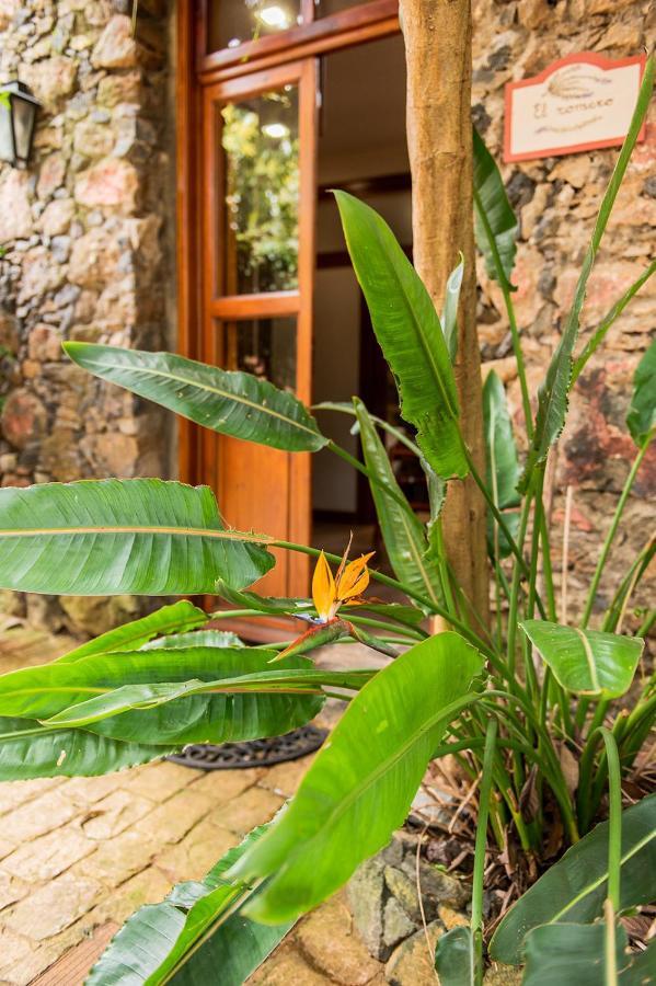 טקורונטה Homeforguest Cosy Rural Flat El Romero With Large Gardens מראה חיצוני תמונה